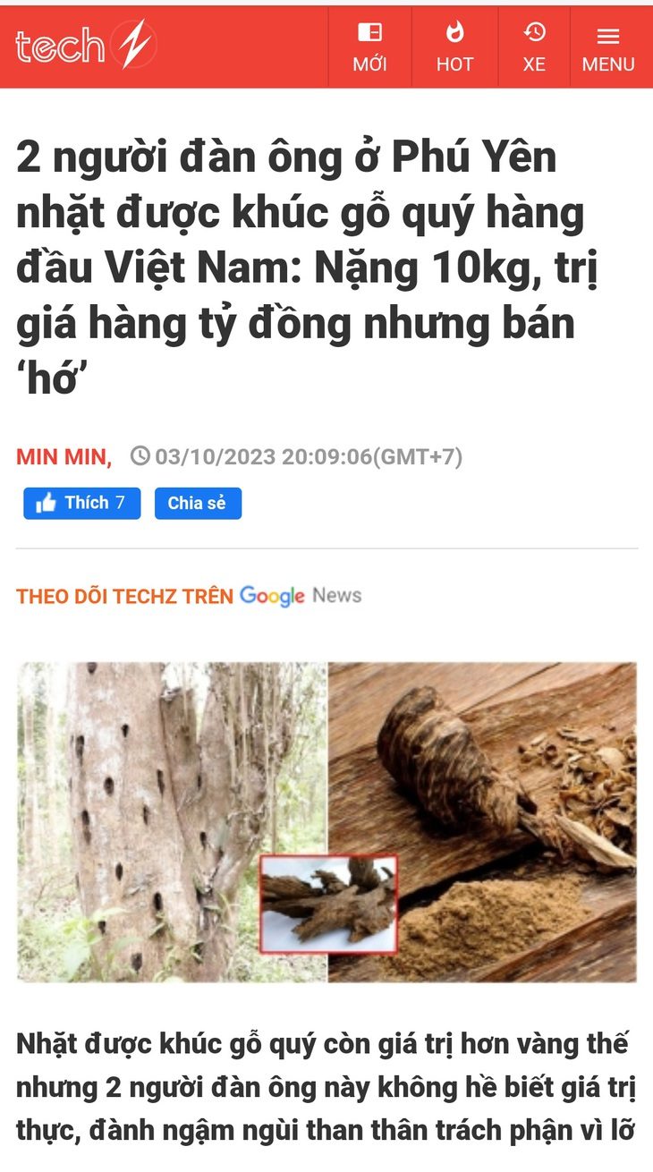 Lãnh đạo xã Phước Tân bác bỏ thông tin có hai người dân ở địa phương này vừa nhặt được gỗ nghi trầm kỳ, đăng trên một trang tin điện tử tổng hợp - Ảnh chụp màn hình